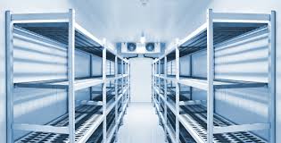 Frozen Storage: Preserving Quality, Powering Businesses